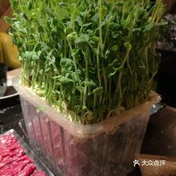 潮汕小豆苗爆料视频,揭秘潮汕美食背后的故事  第1张